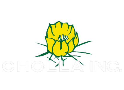 Mega Sponsor