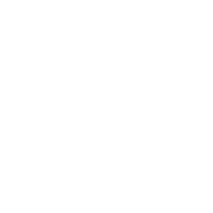 Start-up Sponsor Start-up Sponsor