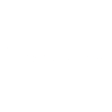Coinscapture Coinscapture