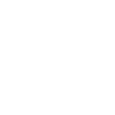 Vosk Coin Vosk Coin