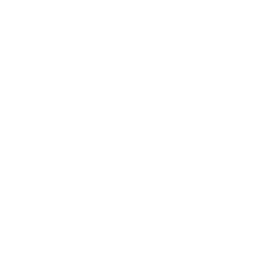 Consensus Protocol Consensus Protocol